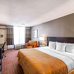 King Room Mobility accessible